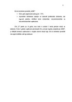 Prakses atskaite 'Prakses atskaite SIA "X"', 6.