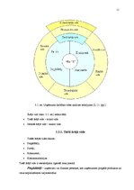 Prakses atskaite 'Prakses atskaite SIA "X"', 11.