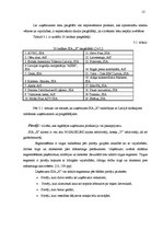 Prakses atskaite 'Prakses atskaite SIA "X"', 12.