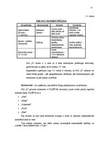 Prakses atskaite 'Prakses atskaite SIA "X"', 13.