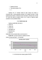 Prakses atskaite 'Prakses atskaite SIA "X"', 15.