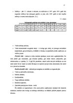 Prakses atskaite 'Prakses atskaite SIA "X"', 17.