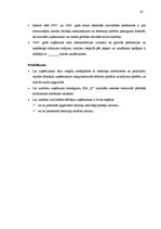 Prakses atskaite 'Prakses atskaite SIA "X"', 33.