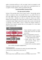 Referāts 'Iespējamais interešu konflikts tiesneša rīcībā un tā novēršana', 3.