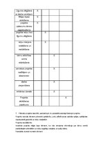Paraugs 'Bērnu attīstības centrs "Mazas lietas lielam priekam"', 2.