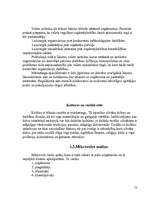 Referāts 'Uzņēmuma "CIDO pārtikas grupa" mārketinga vides analīze un situācijas analīze', 12.