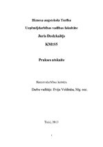 Prakses atskaite 'Prakses atskaite uzņēmumā "Puratos Latvia"', 1.
