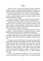 Referāts 'Skaistumkopšanas produktu reklāmas tekstu tulkošana no angļu valodas latviešu va', 5.