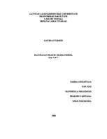 Prakses atskaite 'Ražošanas prakse grāmatvedībā', 1.