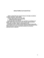 Prakses atskaite 'Ražošanas prakse grāmatvedībā', 6.