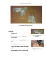 Referāts 'Mikrobioloģiskais piesārņojums', 27.