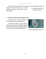 Referāts 'Mikrobioloģiskais piesārņojums', 30.