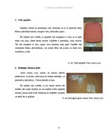 Referāts 'Mikrobioloģiskais piesārņojums', 31.