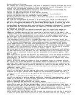 Eseja 'Marketing Channel Strategy ', 1.