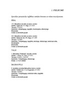 Diplomdarbs 'Sociālā rehabilitētāja loma neredzīgu un vājredzīgu cilvēku izglītības iegūšanas', 68.