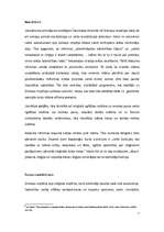 Referāts 'Turcijas ekonomiskā attīstība un īpatnības (1920.-1940.)', 7.