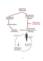 Referāts 'Jaunas tehnoloģijas veselības veicināšanai Latvijas Republikā: cilmes šūnu trans', 29.