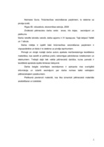 Referāts 'Zinātniski pētnieciskais darbs par tirdzniecības veicināšanas paņēmieniem', 2.