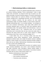 Referāts 'Zinātniski pētnieciskais darbs par tirdzniecības veicināšanas paņēmieniem', 6.