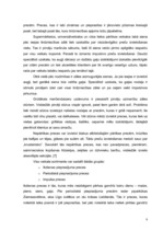 Referāts 'Zinātniski pētnieciskais darbs par tirdzniecības veicināšanas paņēmieniem', 9.