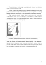 Referāts 'Zinātniski pētnieciskais darbs par tirdzniecības veicināšanas paņēmieniem', 11.