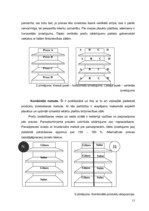 Referāts 'Zinātniski pētnieciskais darbs par tirdzniecības veicināšanas paņēmieniem', 13.