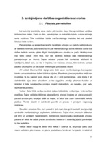 Referāts 'Zinātniski pētnieciskais darbs par tirdzniecības veicināšanas paņēmieniem', 15.