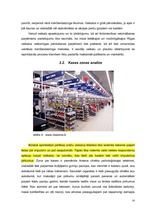 Referāts 'Zinātniski pētnieciskais darbs par tirdzniecības veicināšanas paņēmieniem', 16.