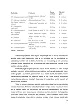 Referāts 'Zinātniski pētnieciskais darbs par tirdzniecības veicināšanas paņēmieniem', 20.