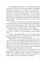 Referāts 'Zinātniski pētnieciskais darbs par tirdzniecības veicināšanas paņēmieniem', 23.