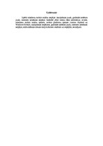 Konspekts 'Mūsdienu mobilo iekārtu iespējas', 3.