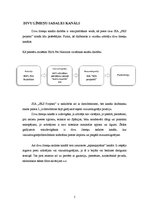 Referāts 'Firmas sadales kanālu raksturojums', 5.