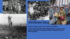 Prezentācija 'Rietumu fronte pirmā pasaules kara laikā', 8.