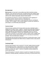 Prezentācija 'Rietumu fronte pirmā pasaules kara laikā', 14.