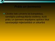 Prezentācija 'Jaunāko laiku sistēmiskā paradigma', 14.