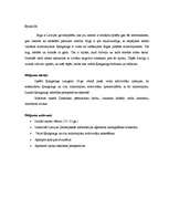 Referāts 'Ķengaraga vides attīstība', 3.