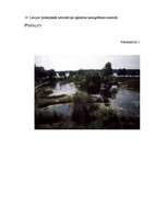 Referāts 'Ķengaraga vides attīstība', 24.