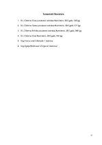 Referāts 'Grāmata "Greja piecdesmit nokrāsas"', 11.