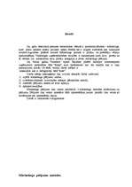 Referāts 'Bāra "Rats" mārketinga plāns', 2.