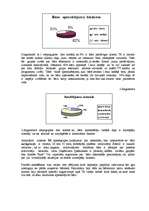 Referāts 'Bāra "Rats" mārketinga plāns', 6.