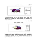 Referāts 'Bāra "Rats" mārketinga plāns', 8.