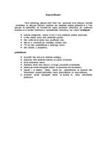 Referāts 'Bāra "Rats" mārketinga plāns', 9.