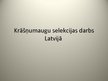 Prezentācija 'Krāšņumaugu selekcijas darbs Latvijā', 1.