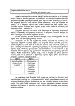 Referāts 'Uzņēmuma finansēšanas avoti', 6.