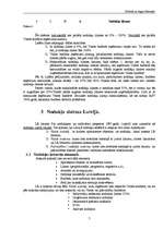 Referāts 'Nodokļi un tirgus līdzsvars', 5.