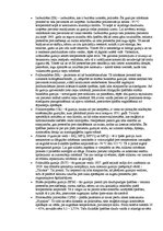 Referāts 'Gumija', 7.