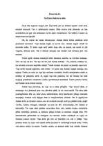 Eseja 'Sarkano lukturu iela', 1.