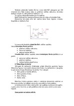 Konspekts 'Fiskālā politika', 3.