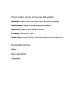 Konspekts 'Bankets', 2.