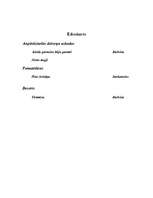 Konspekts 'Bankets', 3.